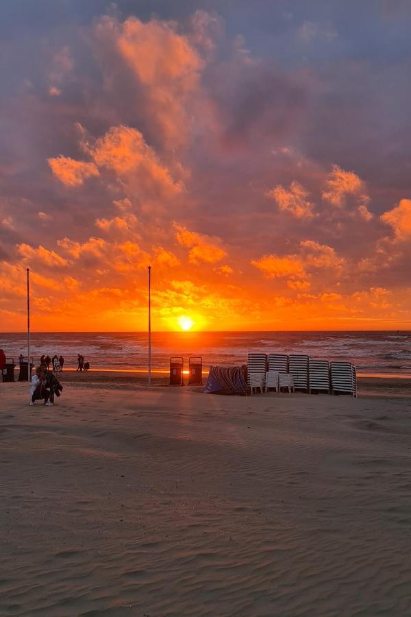 B&B Het Duinhuisje Met Jacuzzi, Gratis Parkeren, 2 Fietsen Te Leen, Airco 잔드보르트 외부 사진