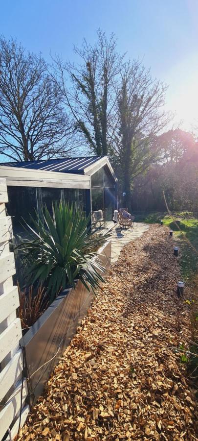 B&B Het Duinhuisje Met Jacuzzi, Gratis Parkeren, 2 Fietsen Te Leen, Airco 잔드보르트 외부 사진
